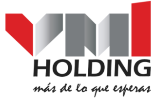 Logo vmi holding